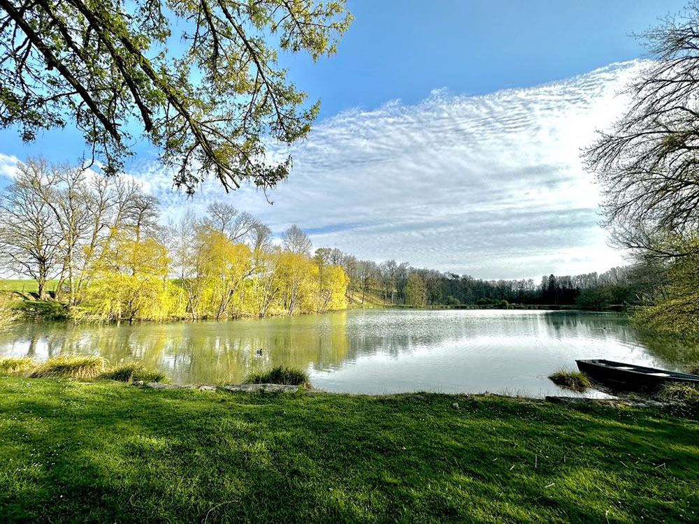 Etang 2 : pêche au black bass et à la perche